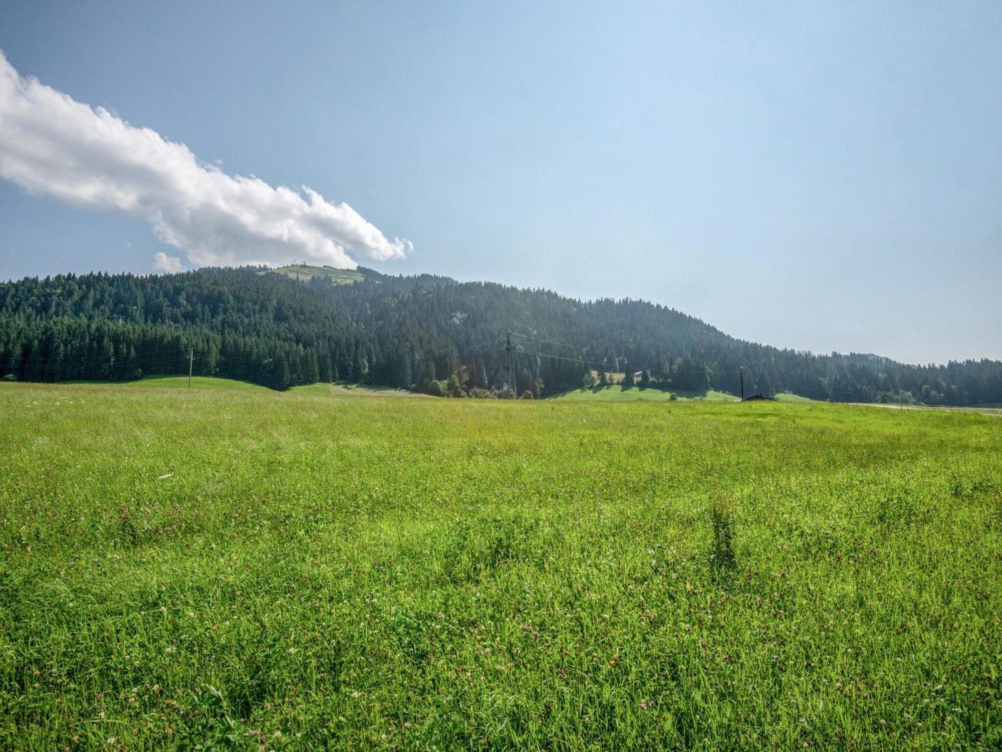 Valley View Holiday Home In Елмау Екстериор снимка